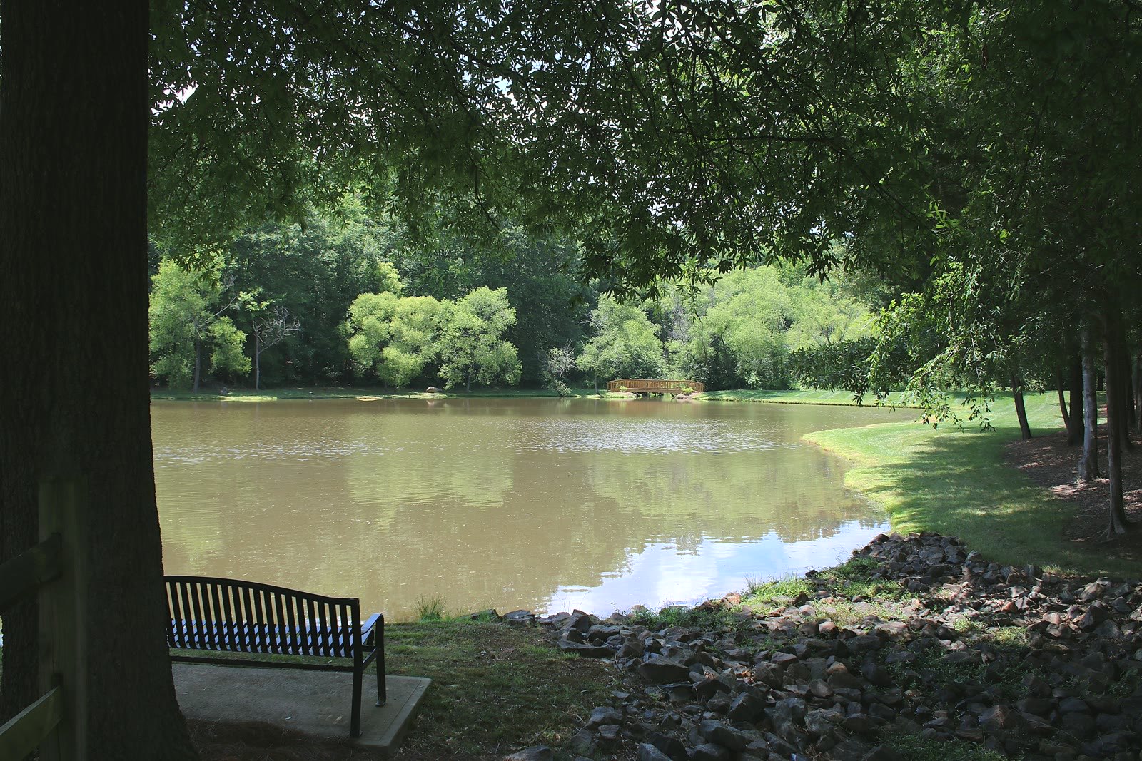 A shaded bench overlooking the community pond