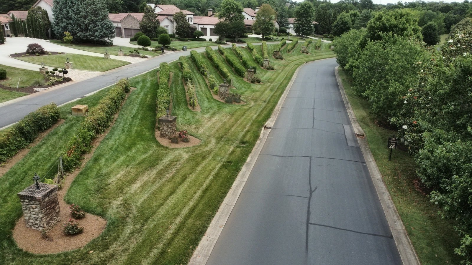 Manicured vineyard rows lining a community street